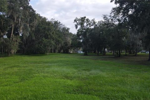 Land in Lake Panasoffkee, Florida № 1336401 - photo 21