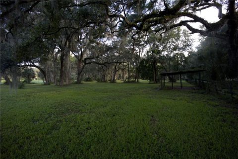 Terreno en venta en Lake Panasoffkee, Florida № 1336401 - foto 11