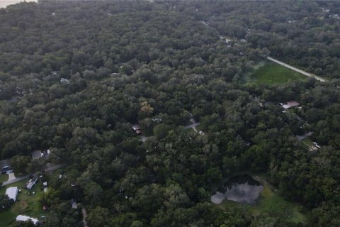 Land in Lake Panasoffkee, Florida № 1336401 - photo 15