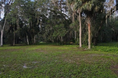 Terreno en venta en Lake Panasoffkee, Florida № 1336401 - foto 25