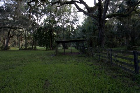 Terreno en venta en Lake Panasoffkee, Florida № 1336401 - foto 10