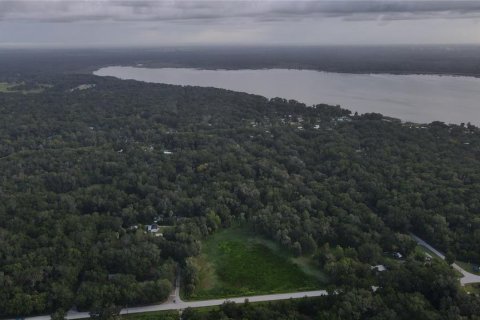 Land in Lake Panasoffkee, Florida № 1336401 - photo 17