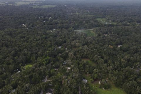 Land in Lake Panasoffkee, Florida № 1336401 - photo 13