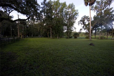 Terreno en venta en Lake Panasoffkee, Florida № 1336401 - foto 8