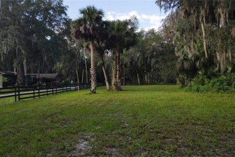 Land in Lake Panasoffkee, Florida № 1336401 - photo 23