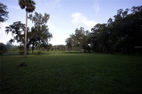 Terreno en venta en Lake Panasoffkee, Florida № 1336401 - foto 9