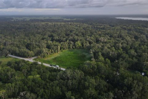 Land in Lake Panasoffkee, Florida № 1336401 - photo 19