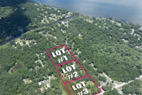 Terreno en venta en Lake Panasoffkee, Florida № 1336401 - foto 2