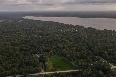 Land in Lake Panasoffkee, Florida № 1336401 - photo 30