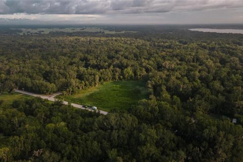 Land in Lake Panasoffkee, Florida № 1336401 - photo 29