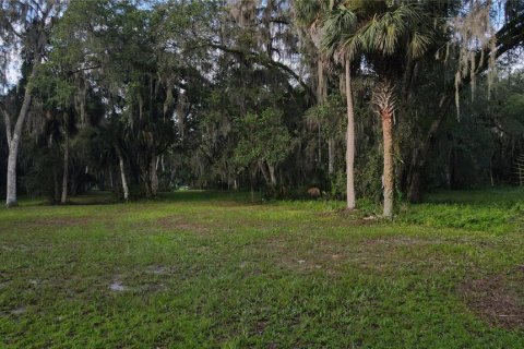 Land in Lake Panasoffkee, Florida № 1336401 - photo 24