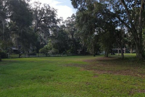 Terreno en venta en Lake Panasoffkee, Florida № 1336401 - foto 22