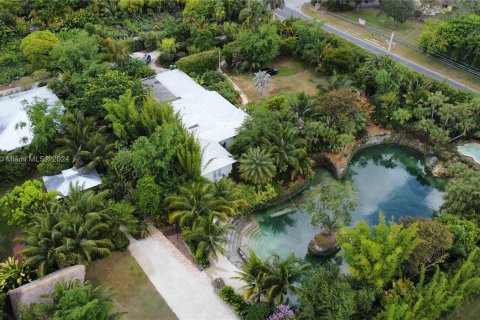 Villa ou maison à vendre à Homestead, Floride: 6 chambres, 442.96 m2 № 1206662 - photo 4