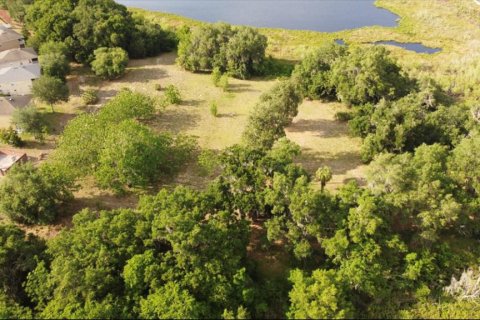 Terrain à vendre à Apopka, Floride № 1324813 - photo 4