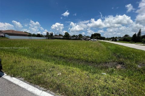 Купить земельный участок в Лихай-Эйкерс, Флорида № 23052 - фото 5