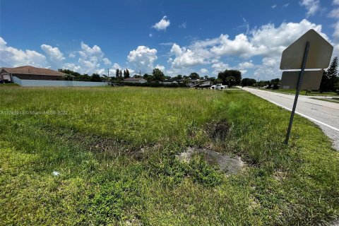 Terrain à vendre à Lehigh Acres, Floride № 23052 - photo 1