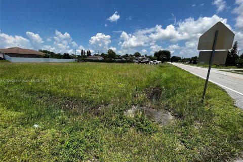 Купить земельный участок в Лихай-Эйкерс, Флорида № 23052 - фото 2