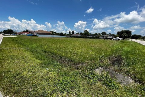 Купить земельный участок в Лихай-Эйкерс, Флорида № 23052 - фото 3