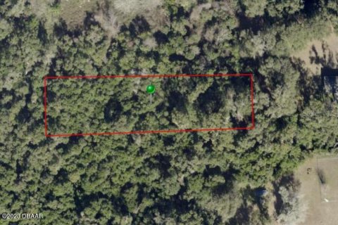 Land in DeLand, Florida № 840272 - photo 2