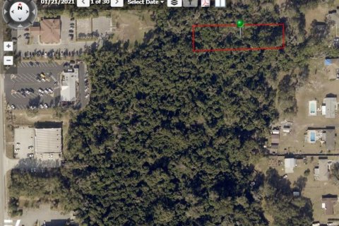 Land in DeLand, Florida № 840272 - photo 1