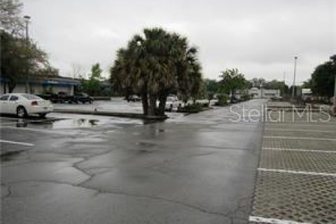 Immobilier commercial à vendre à Tampa, Floride: 4982.35 m2 № 634993 - photo 6