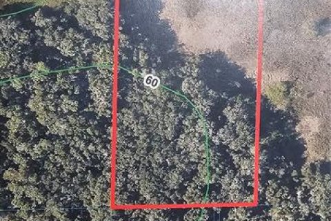 Terreno en venta en Ocala, Florida № 1340664 - foto 2