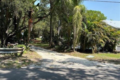 Land in Palm Harbor, Florida № 682872 - photo 6