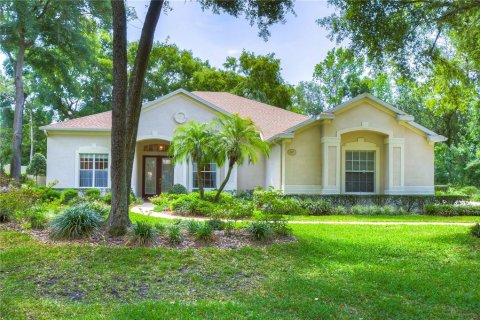 Villa ou maison à vendre à Brandon, Floride: 4 chambres, 245.35 m2 № 1144117 - photo 1