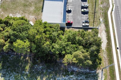 Commercial property in Port Charlotte, Florida 1105.54 sq.m. № 217147 - photo 12