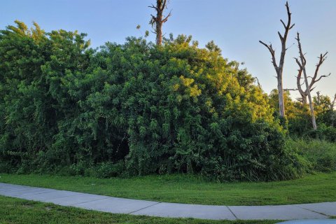 Land in Stuart, Florida № 788393 - photo 4