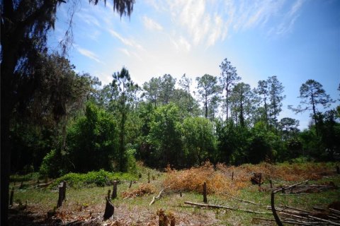 Купить земельный участок в Уимаума, Флорида № 1108444 - фото 5