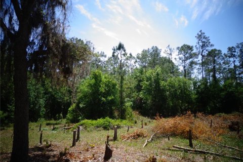 Купить земельный участок в Уимаума, Флорида № 1108444 - фото 4