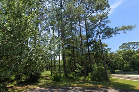 Terreno en venta en Jacksonville, Florida № 1396616 - foto 4