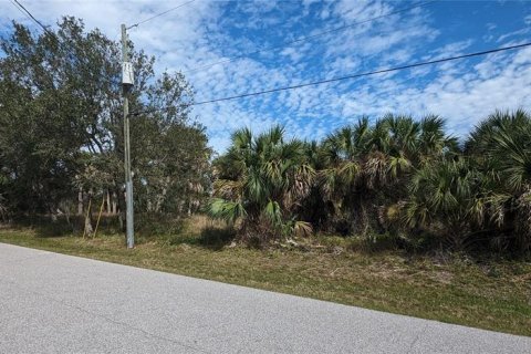 Land in Port Charlotte, Florida № 1163379 - photo 6