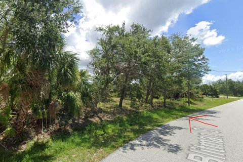 Land in Port Charlotte, Florida № 1163380 - photo 3