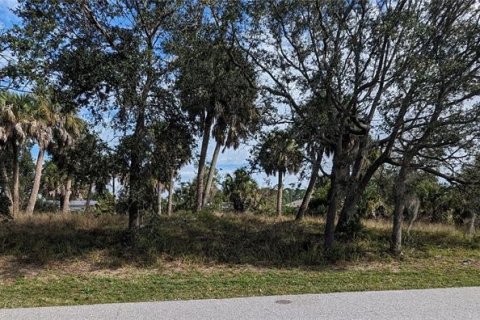 Terreno en venta en Port Charlotte, Florida № 1163380 - foto 5