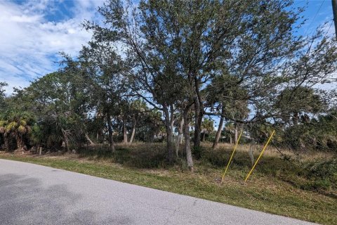 Terreno en venta en Port Charlotte, Florida № 1163380 - foto 6