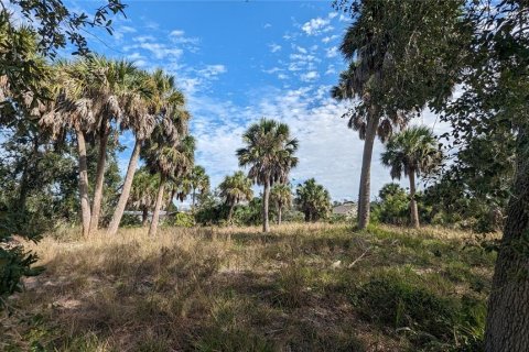 Land in Port Charlotte, Florida № 1163380 - photo 7