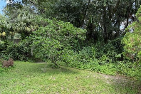 Terrain à vendre à Tampa, Floride № 1337129 - photo 2