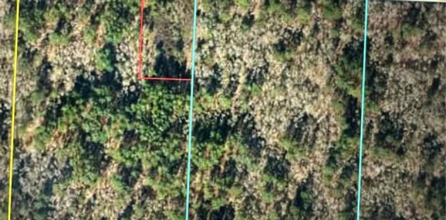 Land in Morriston, Florida № 1377872