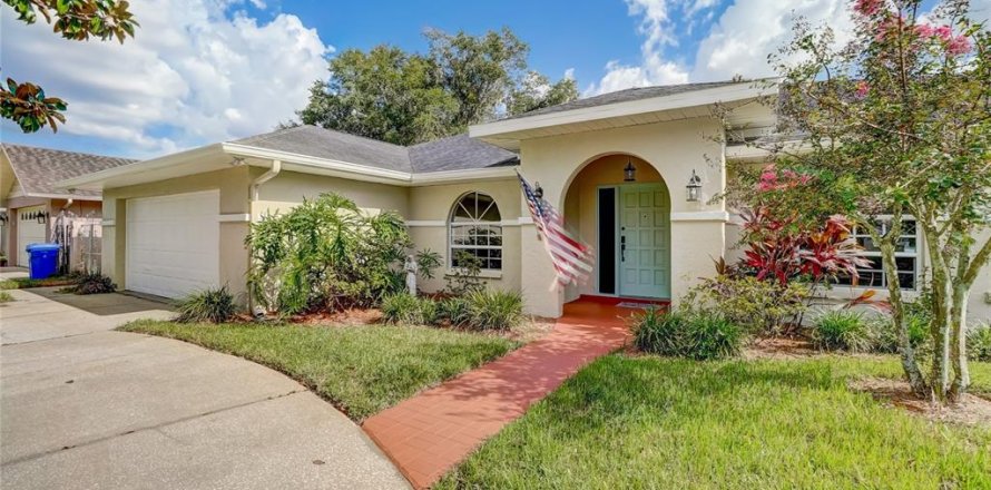 House in Tampa, Florida 3 bedrooms, 253.34 sq.m. № 687497