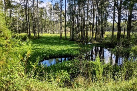 Land in Chiefland, Florida № 1379429 - photo 10