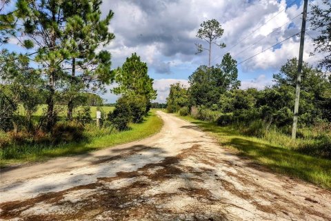 Land in Chiefland, Florida № 1379429 - photo 6