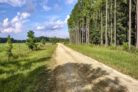 Land in Chiefland, Florida № 1379429 - photo 7