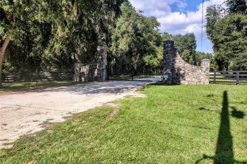 Land in Chiefland, Florida № 1379429 - photo 11