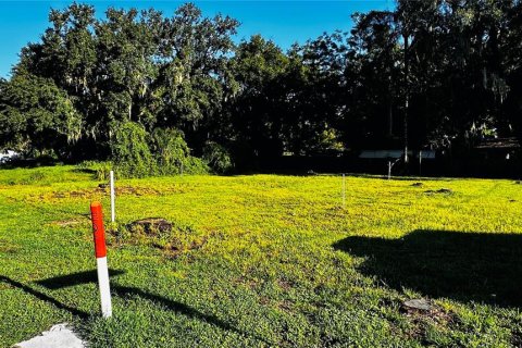 Terreno en venta en Mascotte, Florida № 1308169 - foto 1