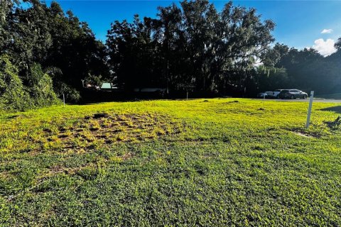 Terreno en venta en Mascotte, Florida № 1308169 - foto 2