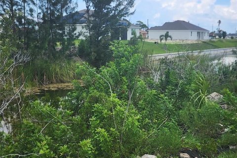 Купить земельный участок в Кейп-Корал, Флорида № 653660 - фото 6