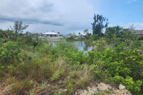 Купить земельный участок в Кейп-Корал, Флорида № 653660 - фото 5