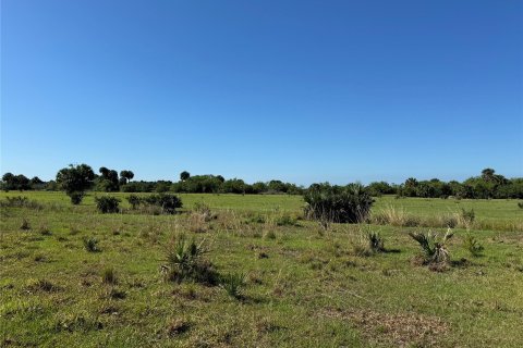 Land in Okeechobee, Florida № 1185575 - photo 3